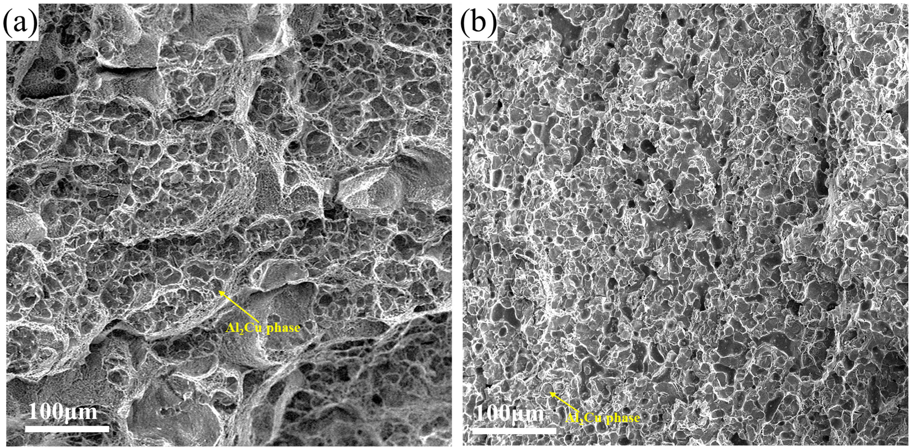 Figure 10
Fracture morphologies of the tensile samples: (a) conventional ductile fracture and (b) brittle fracture.