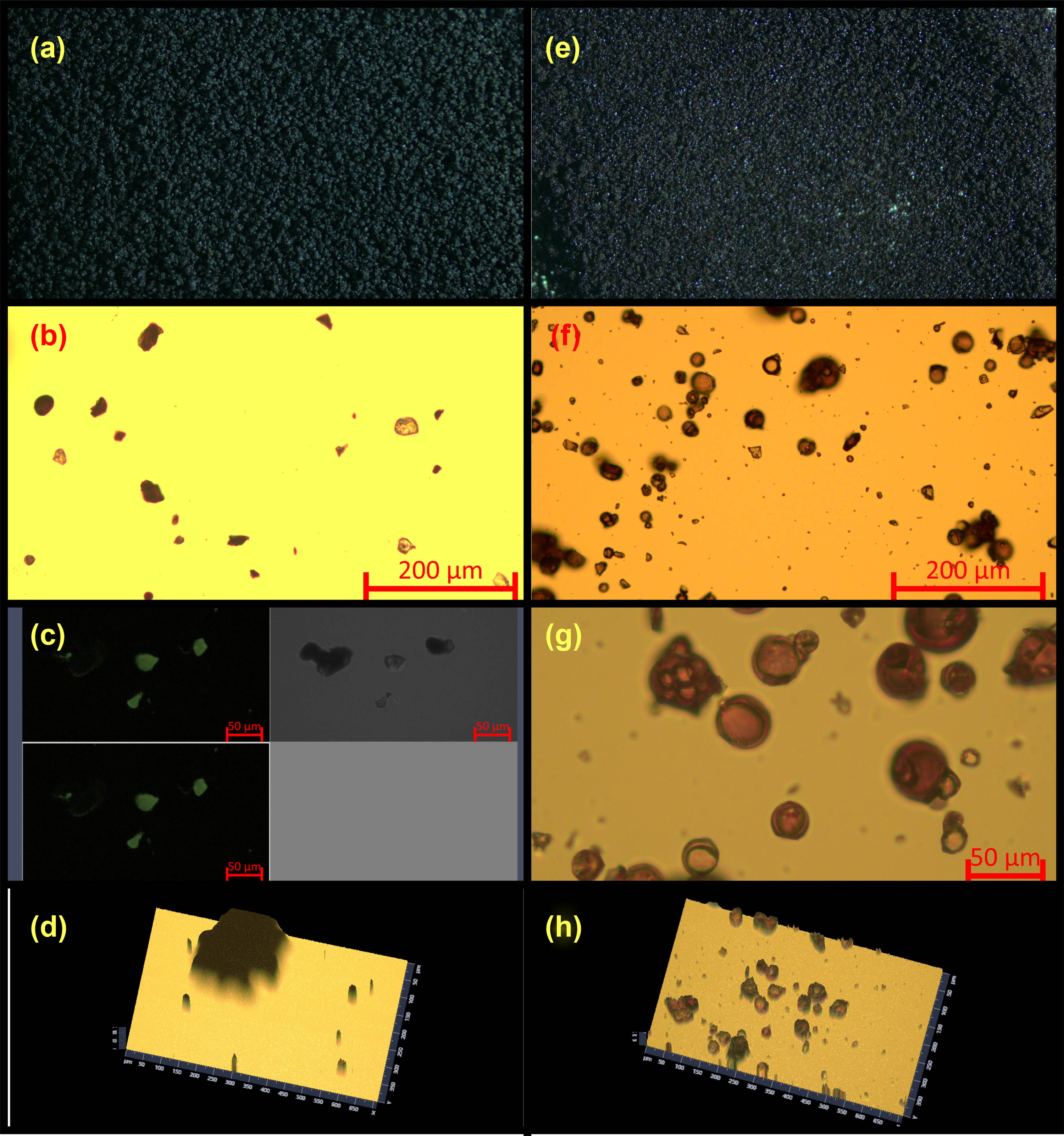 Figure 1
Optical microscopy images of (a)–(d) AproFER 1000 ((a) stereoscopic microscop image, (b)–(d) inverted optical microscope), and (e)–(h) AproTHEM ((e) stereoscopic microscop image, (f)–(h) inverted optical microscope).