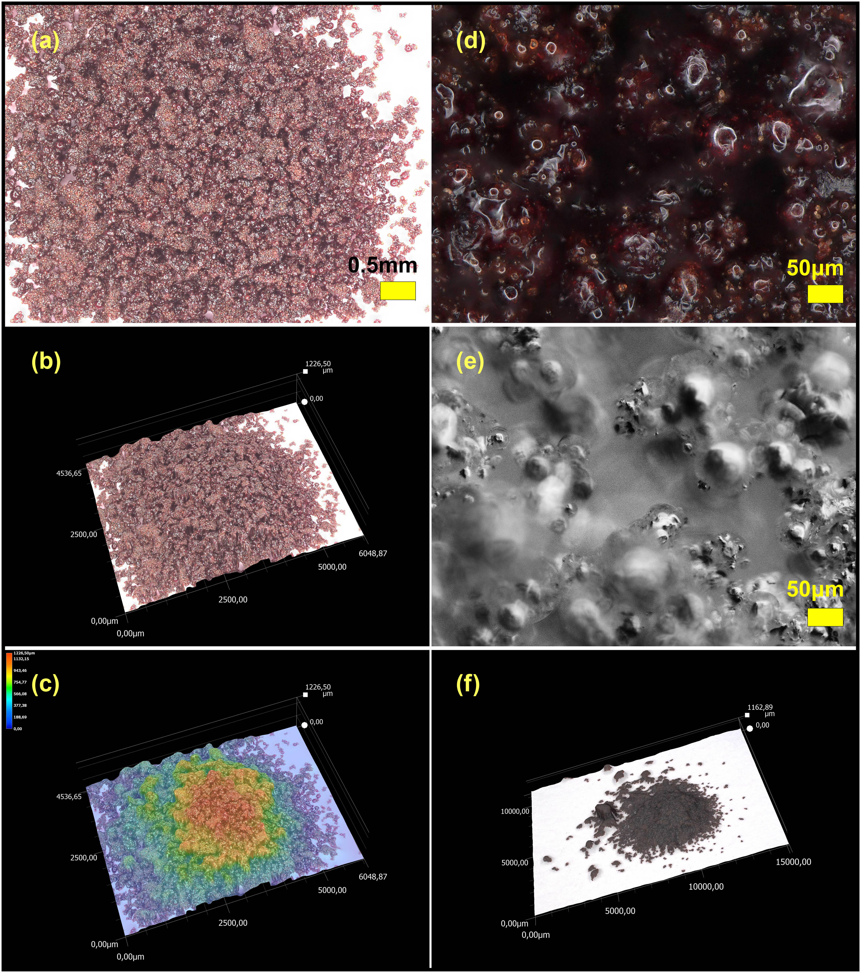 Figure 2
AproTHEM powders studied with DM: (a) 2D image, (b) 3D image, (c) 3D image with topography, (d) 2D image with higher magnification (scale bar 50 μm), (e) 2D image with higher magnification (scale bar 50 μm), and (f) 3D image overview of the sample.