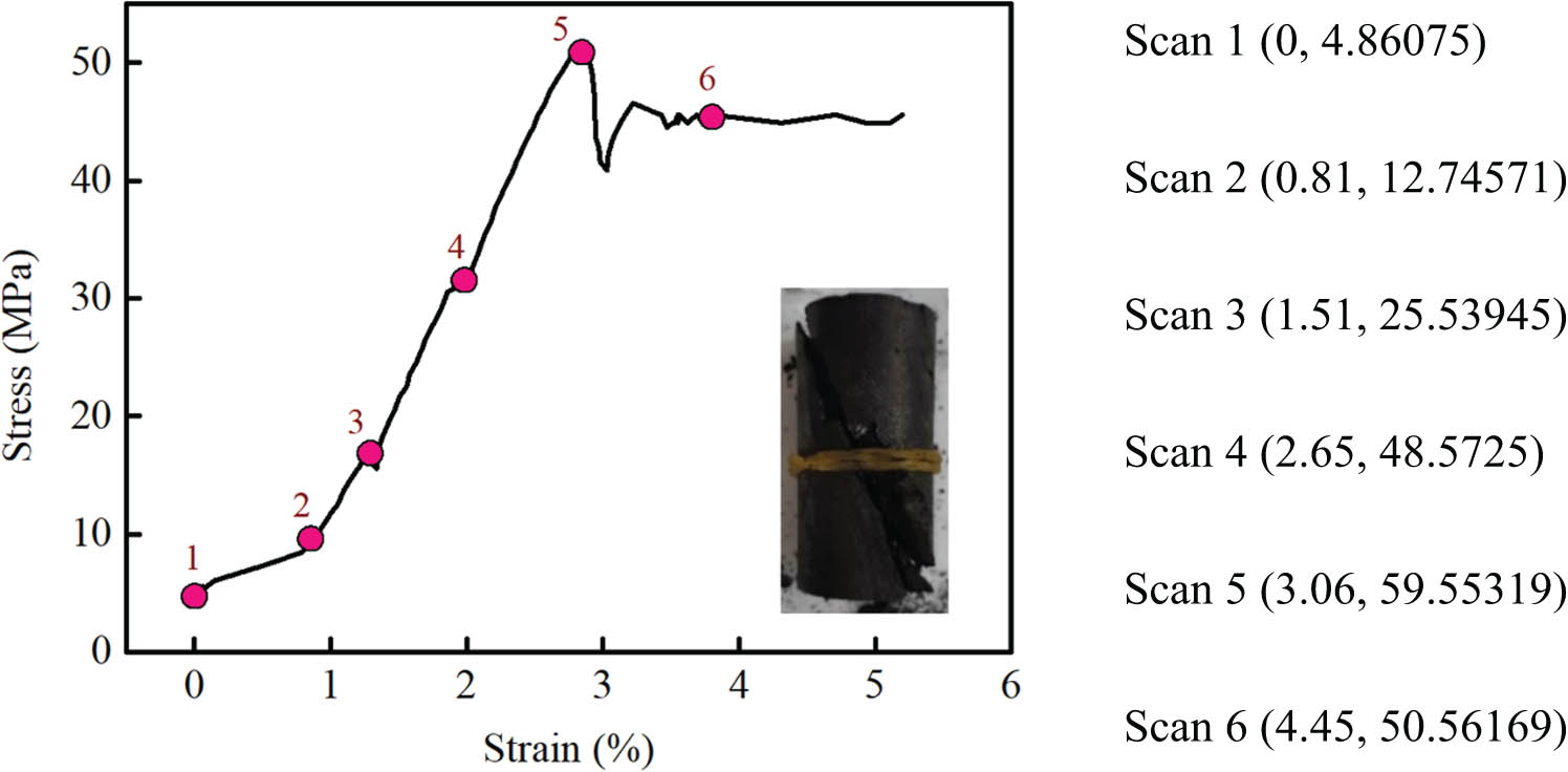 Figure 2 
                  The CT scan location.
               