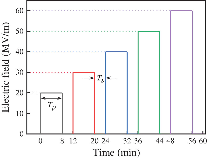 Figure 4
Schematic of the electric field during the step-wise poling (T
p: poling time; T
s: pause time).