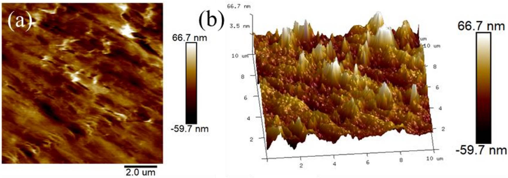 Figure 10
PFM images of PVDF-HFP/CB/Ni composite films: (a) 2D amplitude and (b) 3D amplitude.