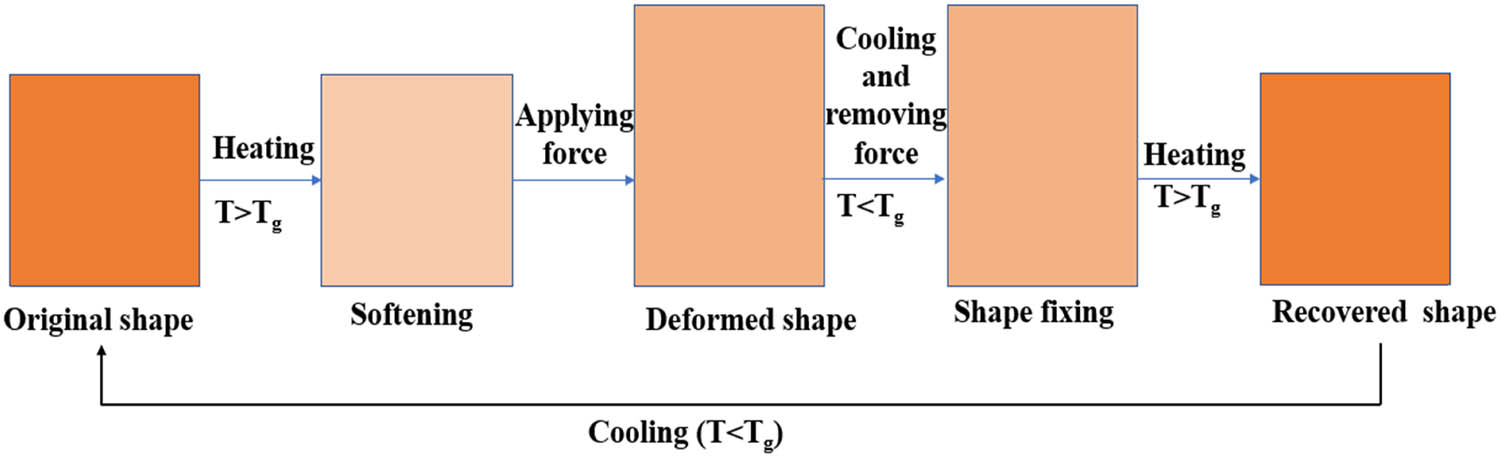 Figure 1
Mechanism of SME in polymers.