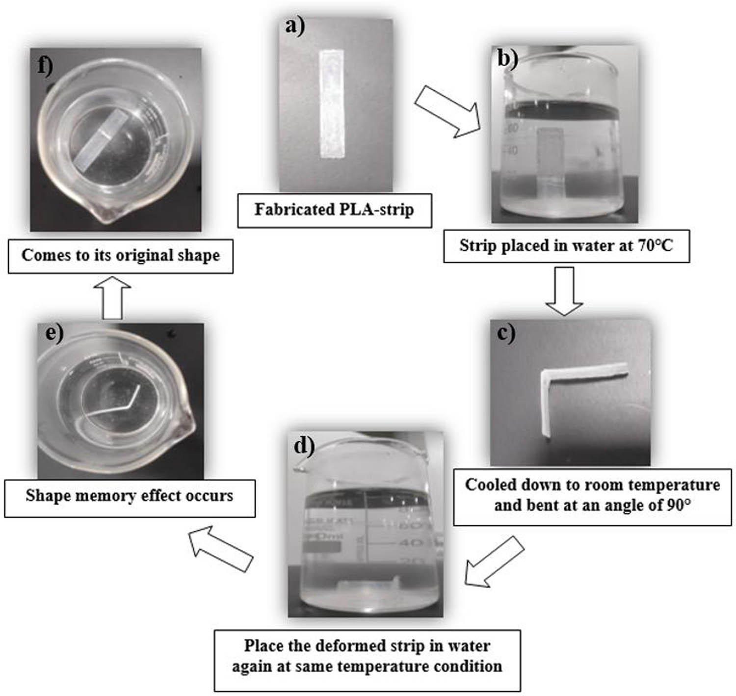 Figure 4
(a) Fabricated model of the flat strip. (b) Strip placed in a beaker of water at 70°C. (c) Cooled to room temperature and bent at an angle of 90°. (d) Placed in a beaker, and the temperature was increased to 70°C. (e) Occurrence of SME. (f) Retains its original position.