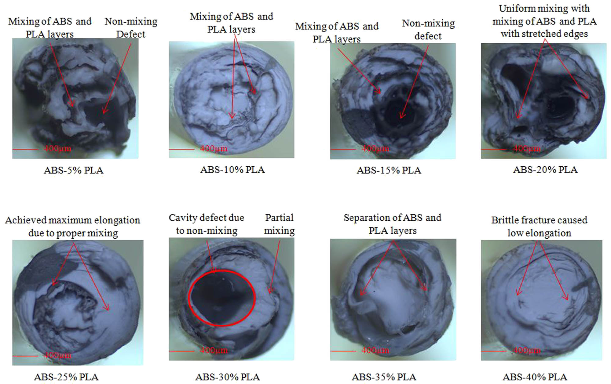 Figure 6
Fracture morphological analysis of ABS–20% PLA and ABS–40% PLA filaments.