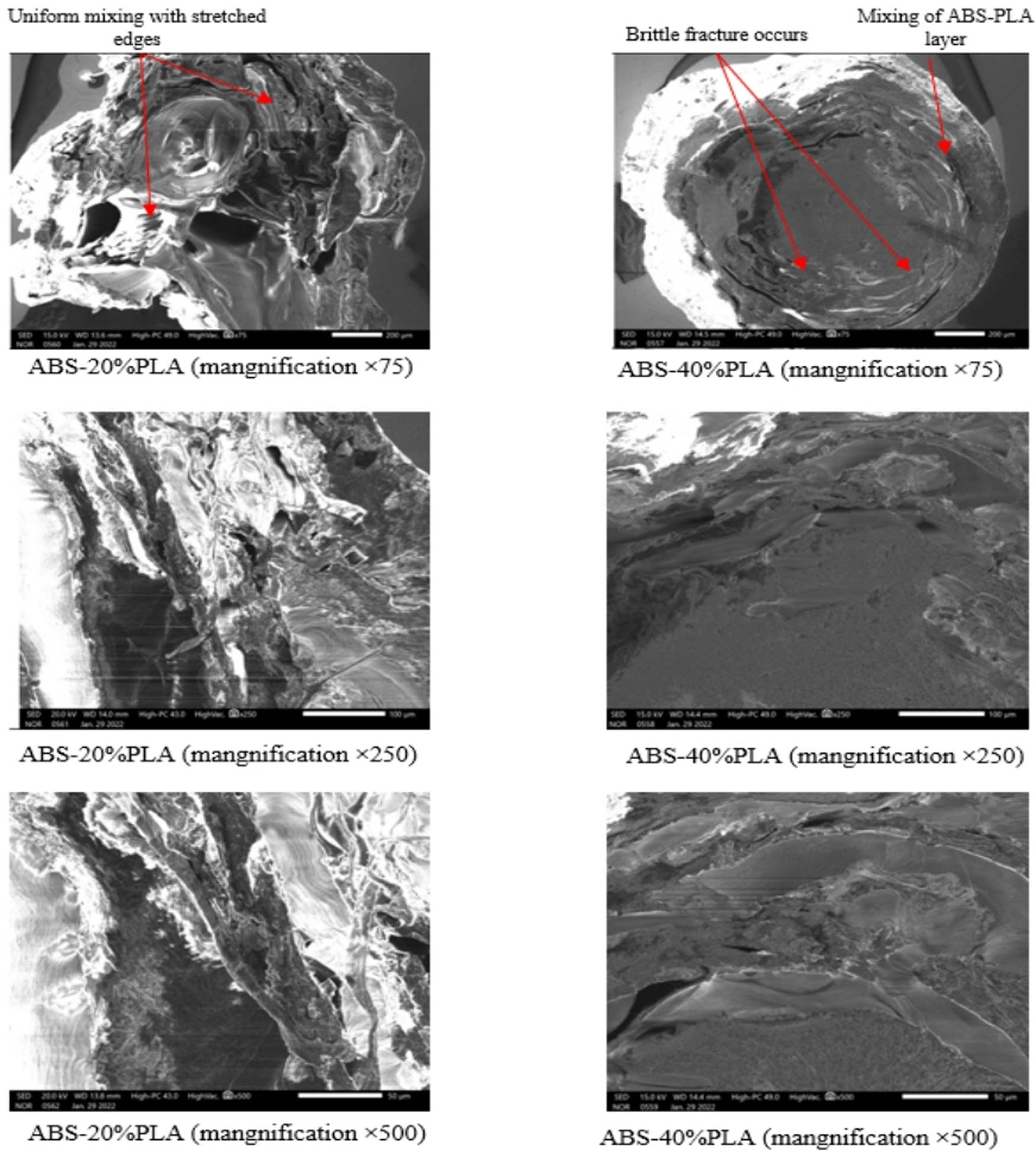 Figure 7
SEM analysis of samples of ABS–20% PLA and ABS–40% PLA filaments.