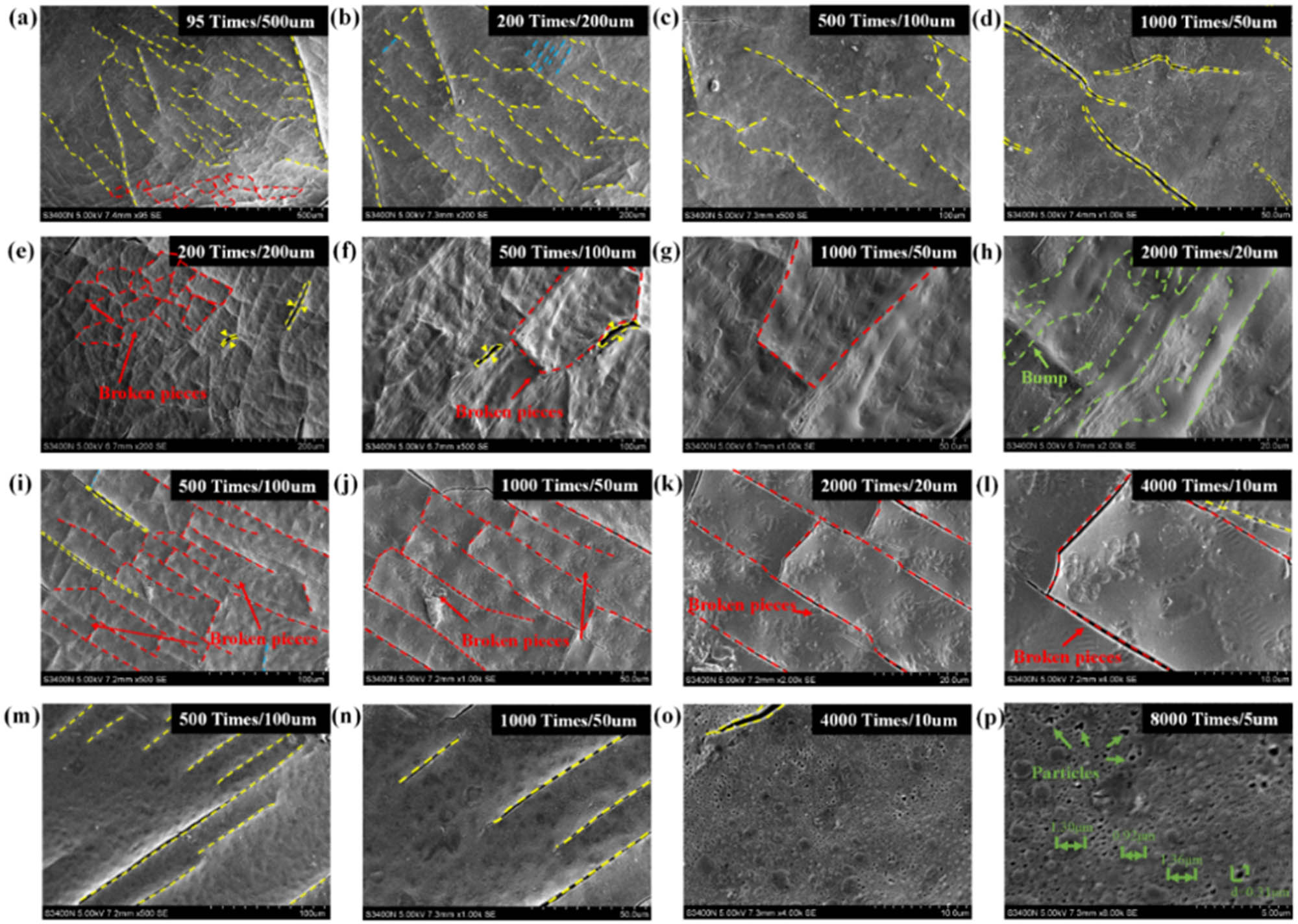 Figure 8
Ultraviolet-induced microscopic morphology of matrix asphalt. (a) 76.25 h–95 times; (b) 76.25 h–200 times; (c) 76.25 h–500 times; (d) 76.25 h–1000 times; (e) 152.5 h–200 times; (f) 152.5 h–500 times; (g) 152.5 h–1000 times; (h) 152.5 h–2000 times; (i) 225 h–500 times; (j) 225 h–1000 times; (k) 225 h–2000 times; (l) 225 h–4000 times; (m) 305 h–500 times; (n) 305 h–1000 times; (o) 305 h–4000 times and (p) 305h–8000 times.