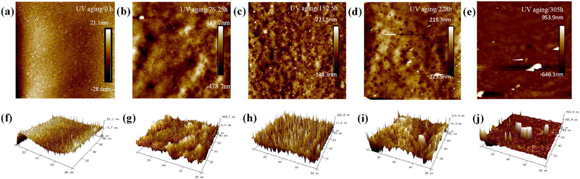 Figure 10
AFM characterization results and grayscale processing of matrix asphalt at different UV aging times. (a) 0 h-2D; (b) 76.25 h-2D; (c) 152.5 h-2D; (d) 228 h-2D; (e) 305 h-2D; (f) 0 h-2D; (g) 76.25 h-3D; (h) 152.5 h-3D; (i) 228 h-3D and (j) 305 h-3D.