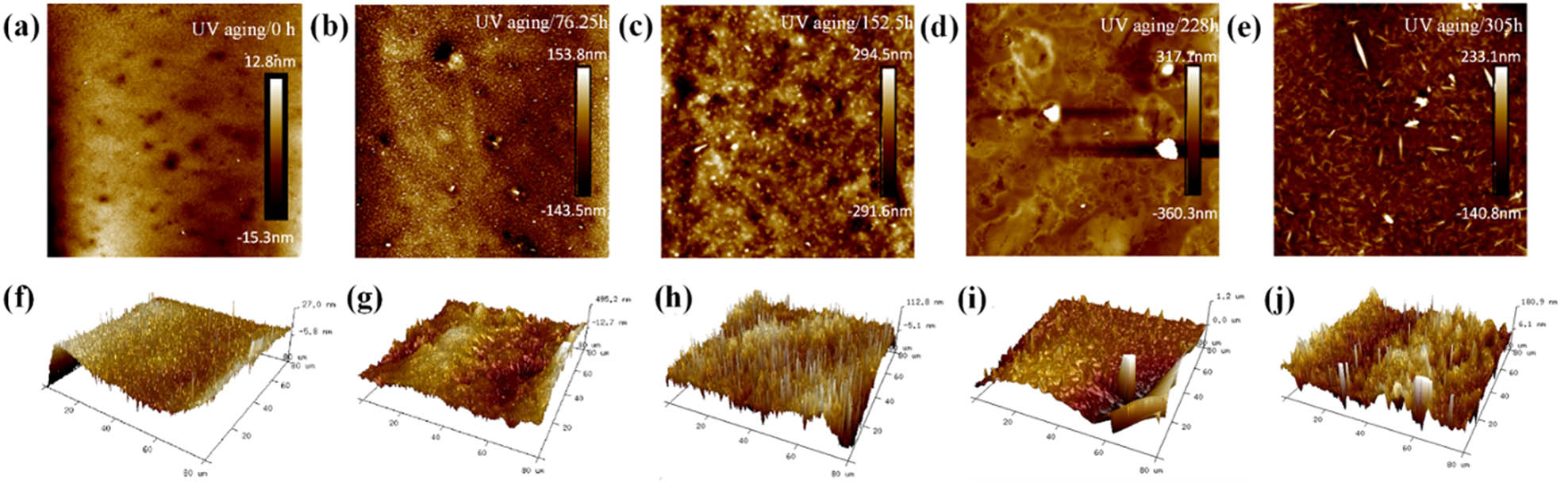 Figure 11
AFM characterization results and grayscale processing of T622-modified asphalt at different UV aging times. (a) 0 h-2D; (b) 76.25 h-2D; (c) 152.5 h-2D; (d) 228 h-2D; (e) 305 h-2D; (f) 0h-2D; (g) 76.25 h-3D; (h) 152.5 h-3D; (i) 228 h-3D and (j) 305 h-3D.