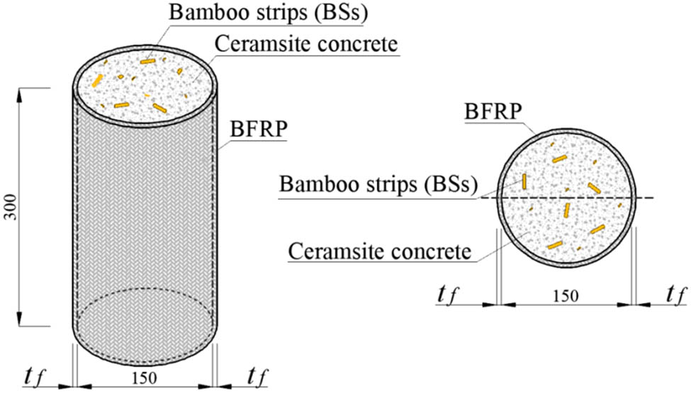Figure 1 
                  Structural diagram of BFCCC.
               