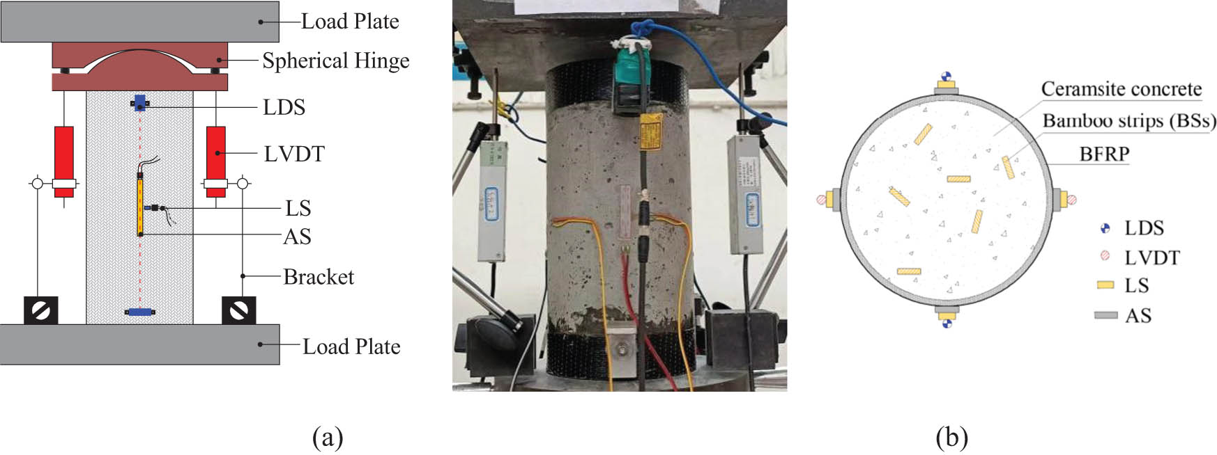 Figure 5 
                  Loading and test setup. (a) Loading and (b) test setup.
               