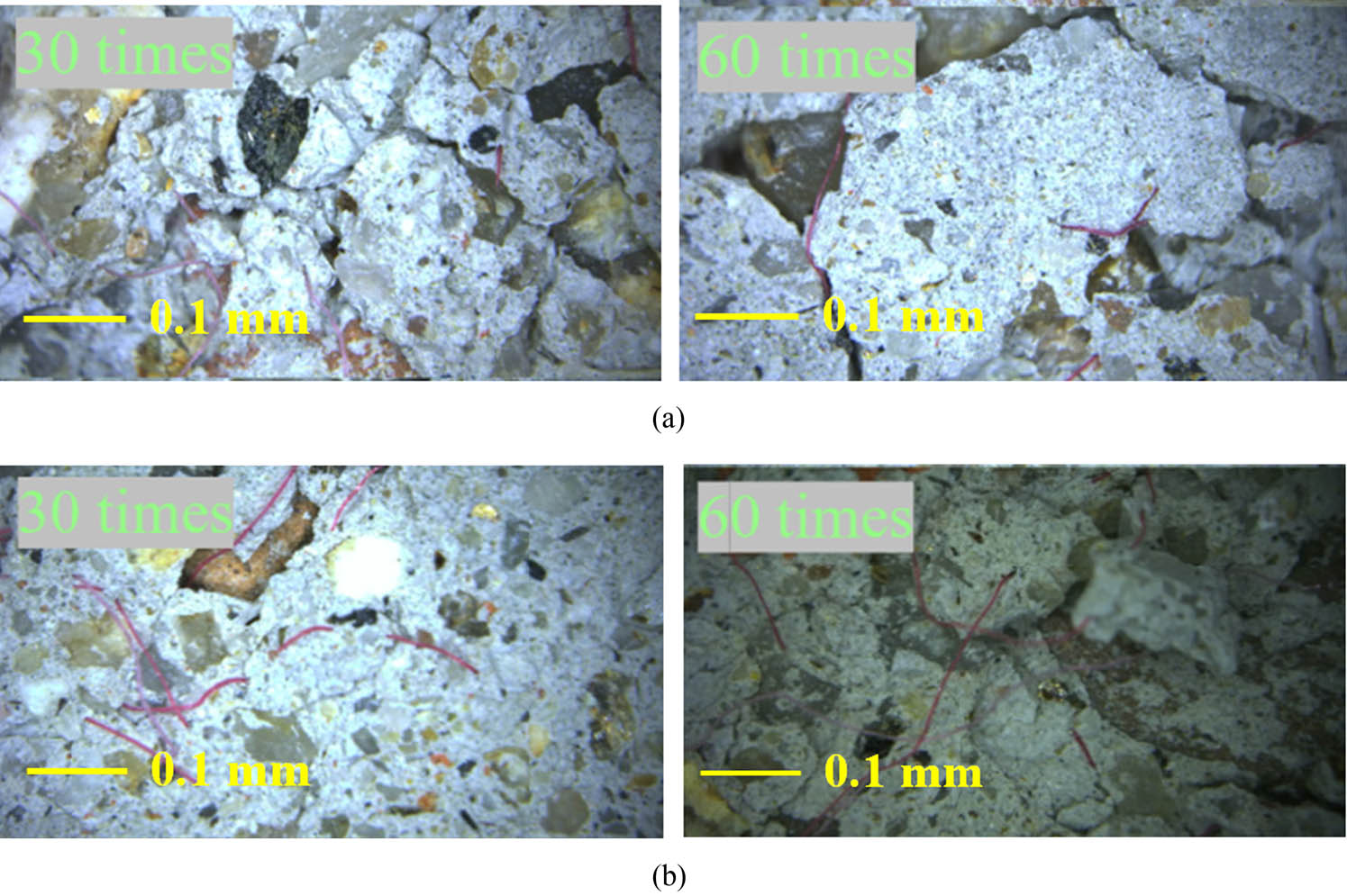 Figure 7 
                  General microscope observation images after freeze‒thaw cycle (zoom in 100×). (a) X2B50 and (b) X2B100.
               