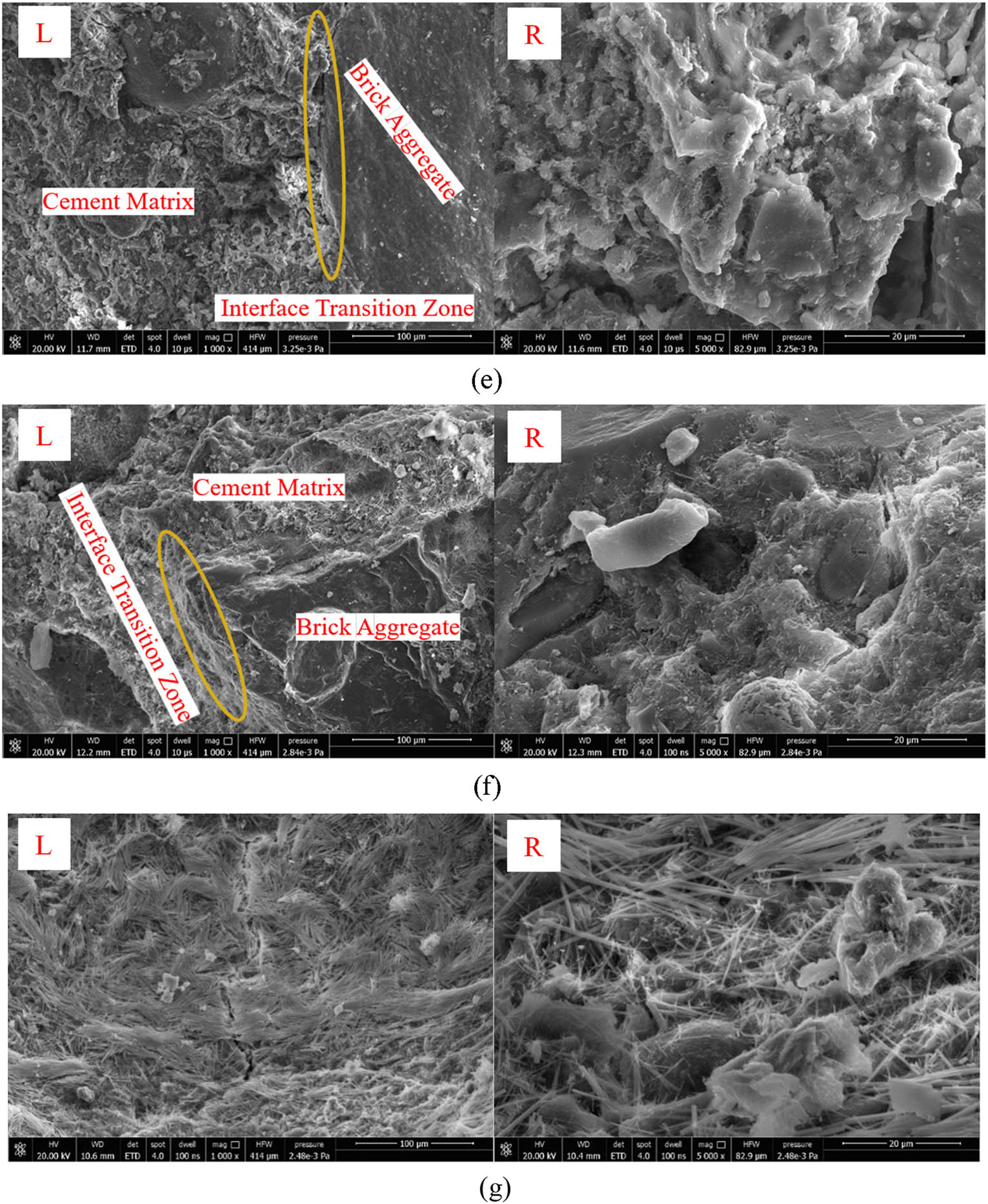 Figure 11 
                  SEM image after freeze–thaw cycle. (a) P-15, (b) P-45, (c) B50-15, (d) B50-45, (e) X2B50-15, (f) X2B50-45, and (g) X2B50-60.
               
