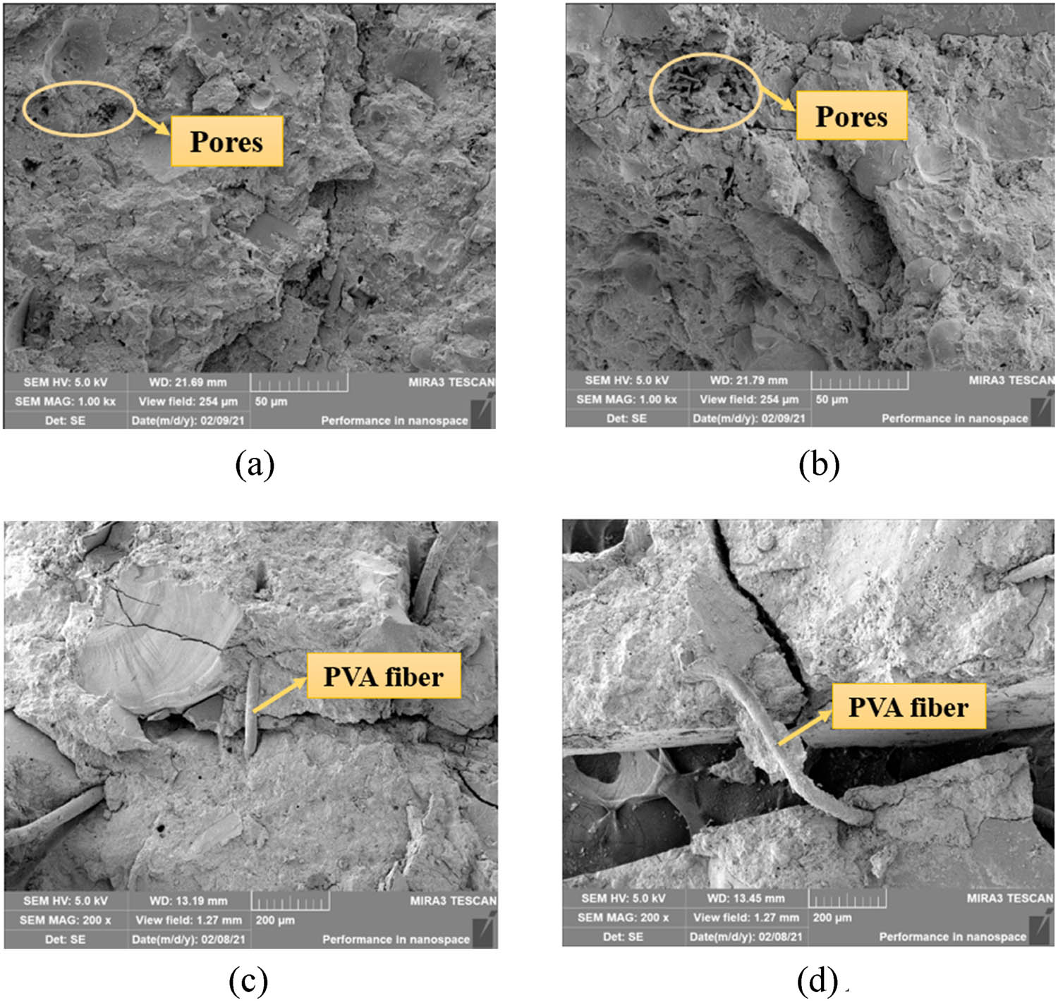 Figure 16 
                  SEM images of CC: (a) after F–T cycle (M-0), (b) after F–T cycle (M-1), (c) before F–T cycle, and (d) after F–T cycle.
               