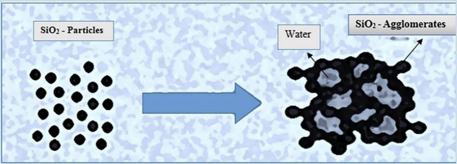 Figure 9 
                  NNS coagulation [62].
               