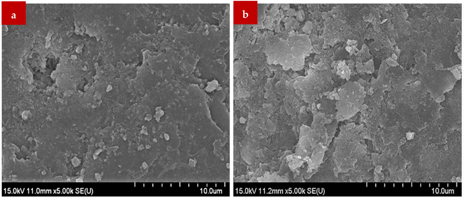 Figure 16 
                  SEM results of 2% NNS: (a) limewater and (b) NH4NO3 [87].
               