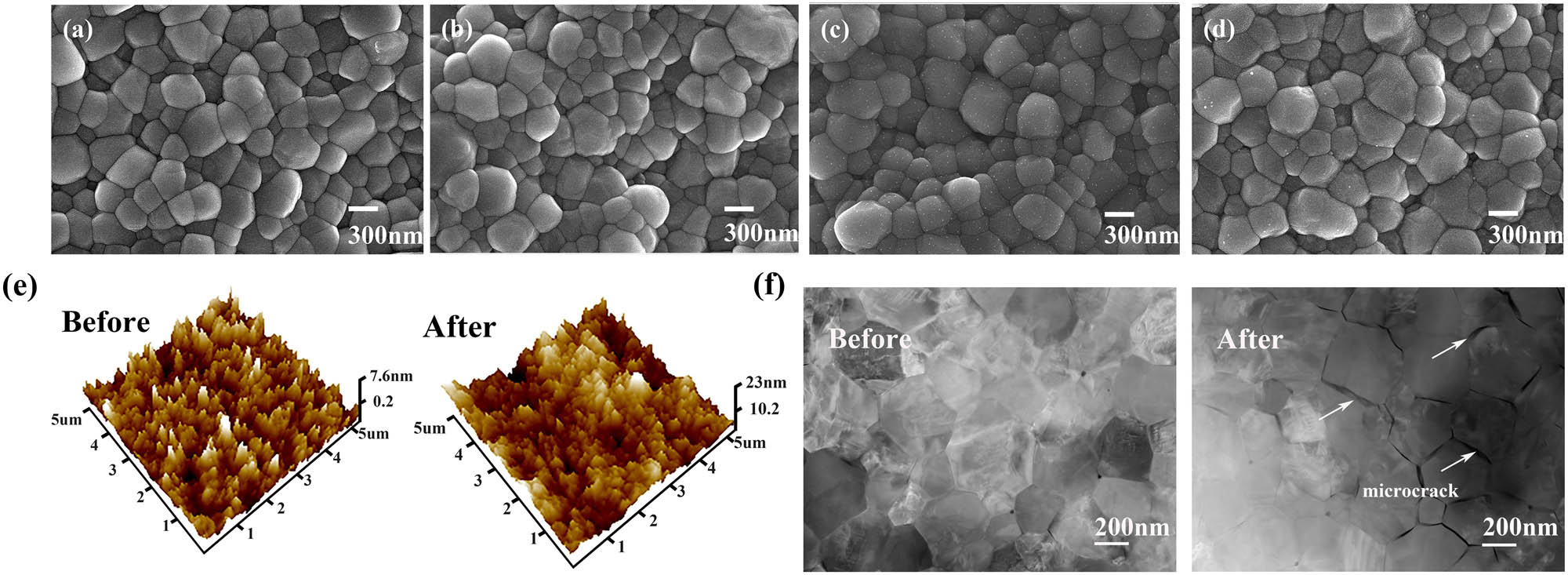 Figure 2 
                  Microstructure observation of Co2O3-doped 3Y-TZP. (a–d) SEM patterns of 3Y-xCo (x = 0, 0.1, 0.2, 0.3 mol%). (e and f) Grain size distribution of 3Y-xCo (x = 0, 0.1, 0.2, 0.3 mol%). AFM (e) and HR-TEM (f) images of the surface and internal microscopic changes in crystals after hydrothermal degradation of 3Y-TZP-xCo (x = 0, 0.1, 0.2, 0.3 mol%).
               