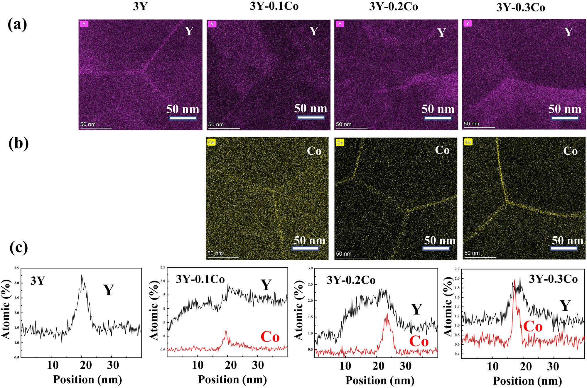 Figure 4 
                  Grain boundary structure of Co2O3-doped 3Y-TZP after hydrothermal degradation. (a) EDS mapping and Y3+ distribution across the grain boundaries of 3Y-xCo (x = 0, 0.1, 0.2, 0.3 mol%). (b) EDS mapping and corresponding chemical compositions of Co3+ across the grain boundaries of 3Y-xCo (x = 0, 0.1, 0.2, 0.3 mol%). (c) Percentage of deviated atoms of Co3+ ions before and after hydrothermal degradation of 3Y-xCo (x = 0, 0.1, 0.2, 0.3 mol%).
               