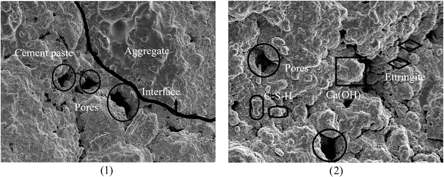 Figure 12
A0 microscopic interface morphology. (1) 1,000 times and (2) 5,000 times.