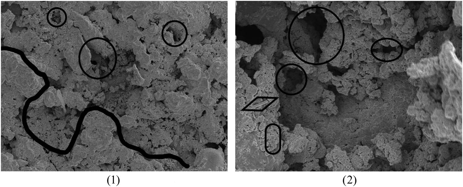 Figure 13
A5 microscopic interface morphology. (1) 1,000 times and (2) 5,000 times.