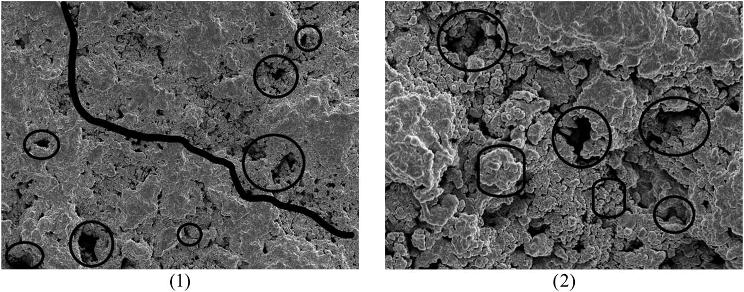 Figure 14
A7 microscopic interface morphology. (1) 1,000 times and (2) 5,000 times.