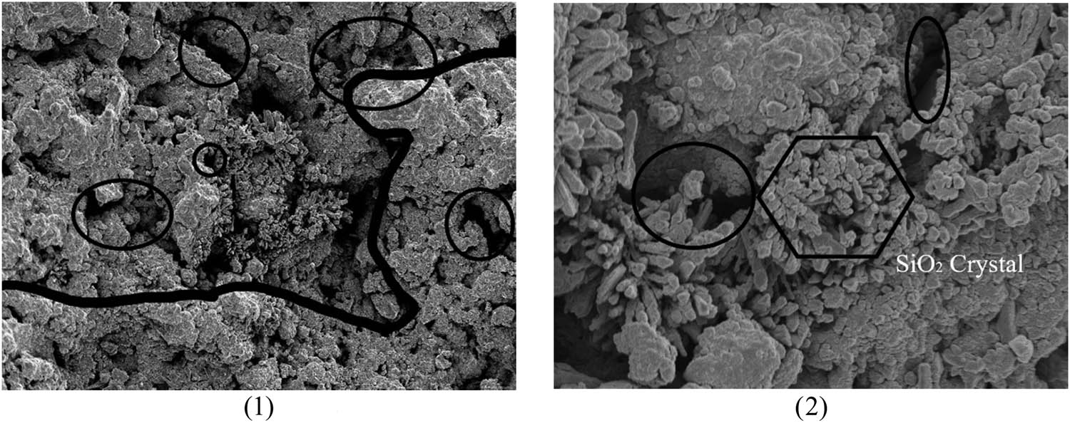 Figure 15
A9 microscopic interface morphology. (1) 1,000 times and (2) 5,000 times.