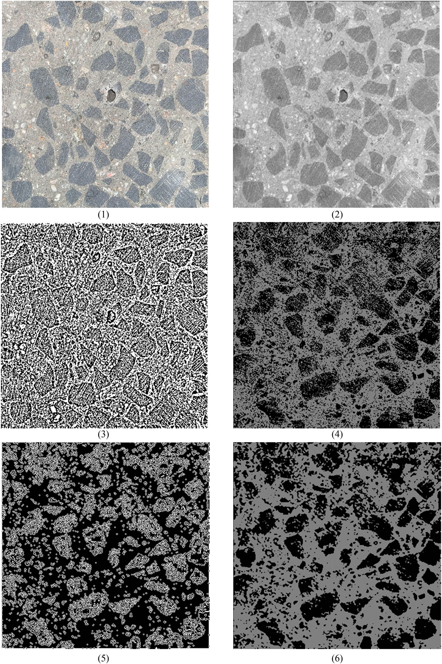 Figure 16
Image processing schematic diagram. (1) Section drawing. (2) Grayscale image. (3) Adaptive thresholding. (4) Dichotomy thresholding. (5) Contour processing. (6) Filtering and denoising.