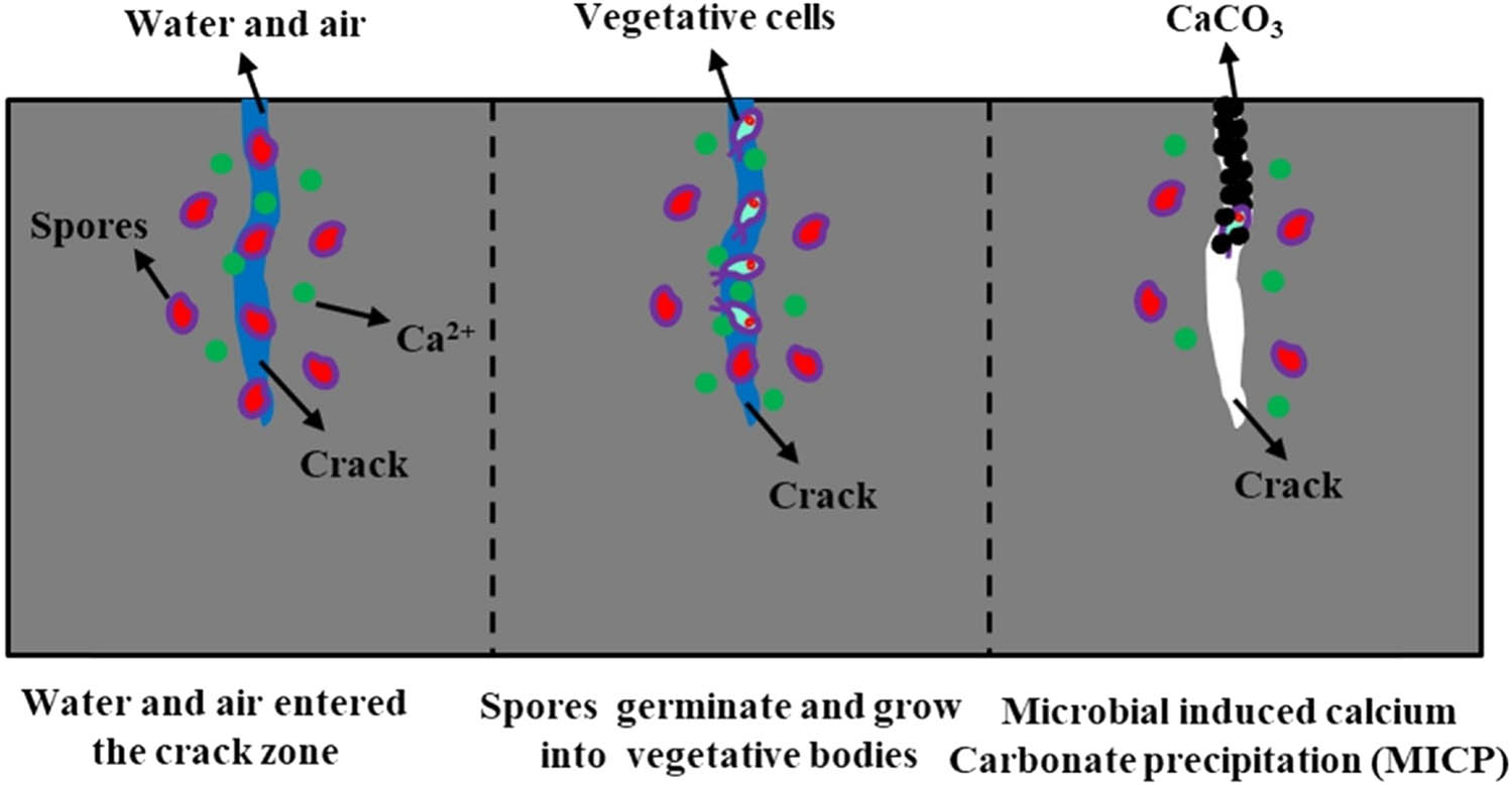 Vorschaubild aus dem Artikel