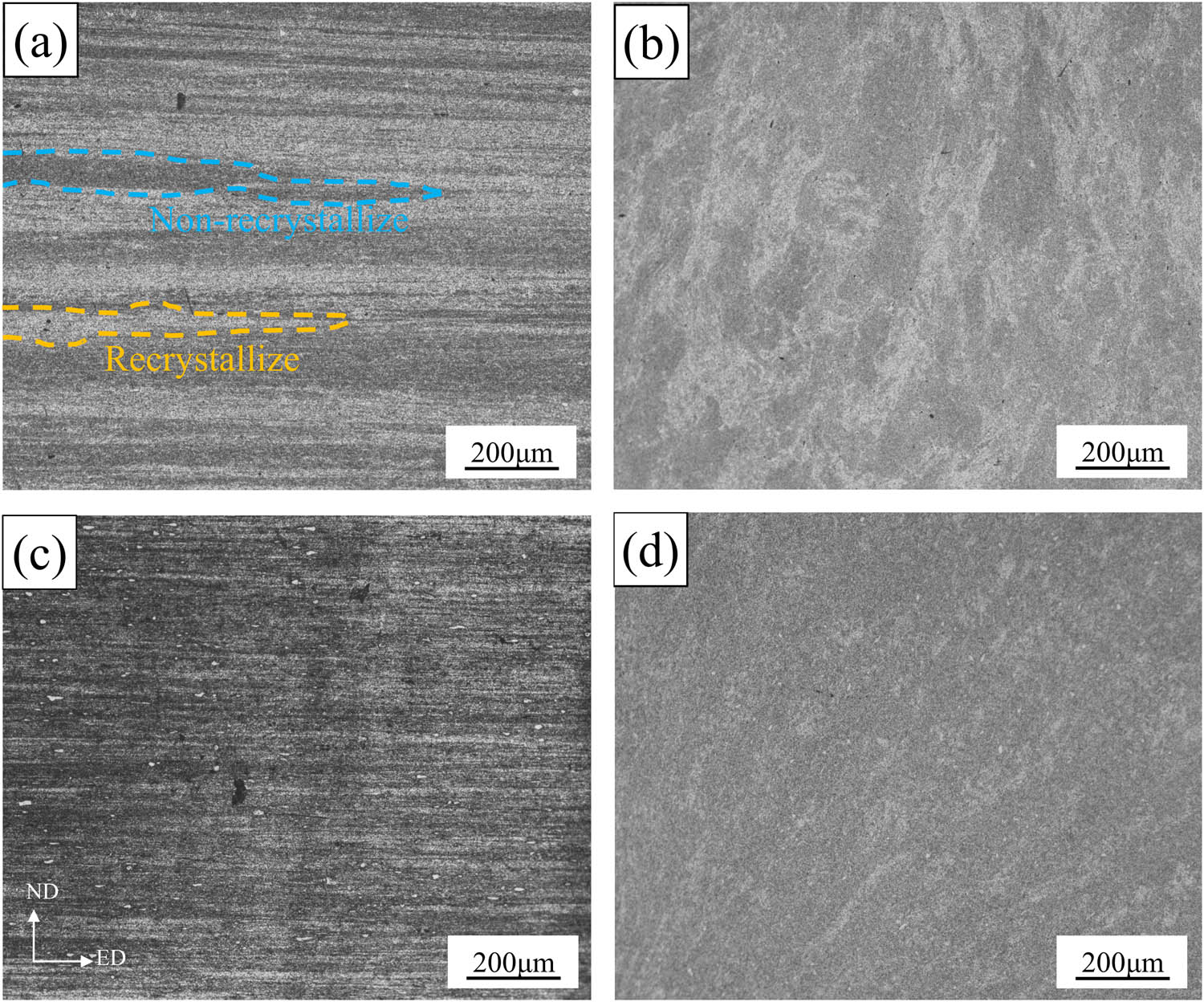 Figure 8 
                  Metallographic organization of the extruded state along the ED and ND directions: (a) and (b) alloy A; (c) and (d) alloy B.
               