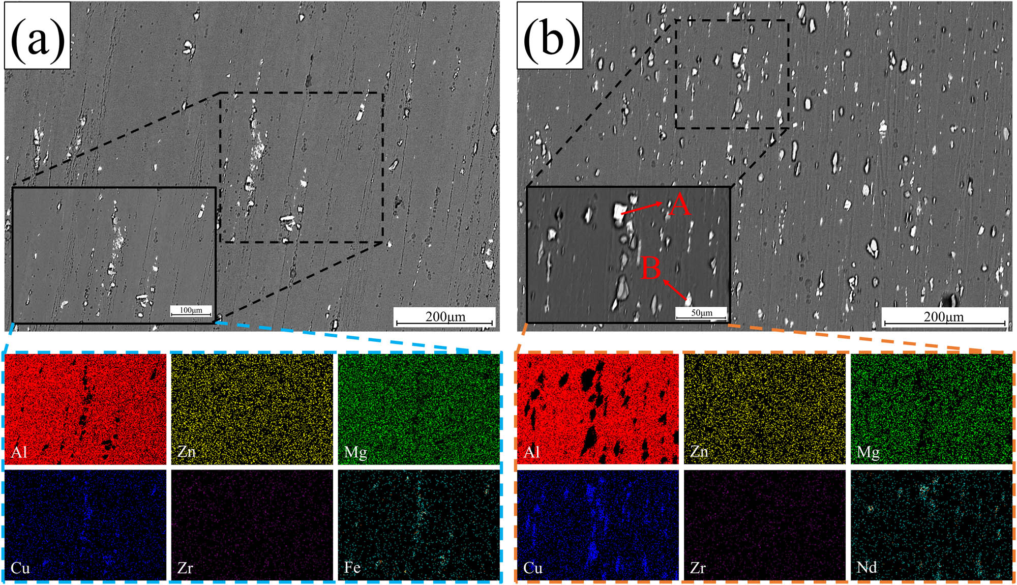Figure 10 
                  SEM images and corresponding elements planar distributions after solid solution alloy: (a) alloy A; (b) alloy B.
               