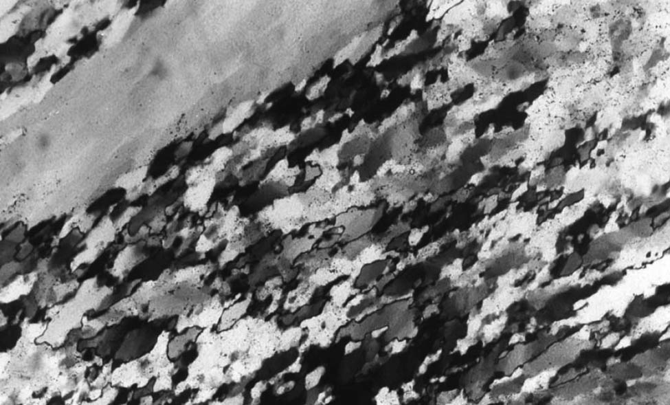 Figure 1 
               Microstructure of quartz-oriented distribution in granite [47].
            