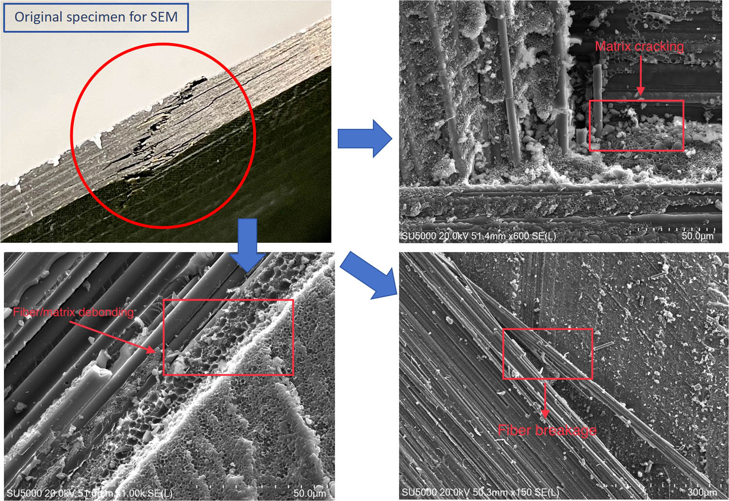 Figure 22 
                  Failure mode under SEM after compression test.
               