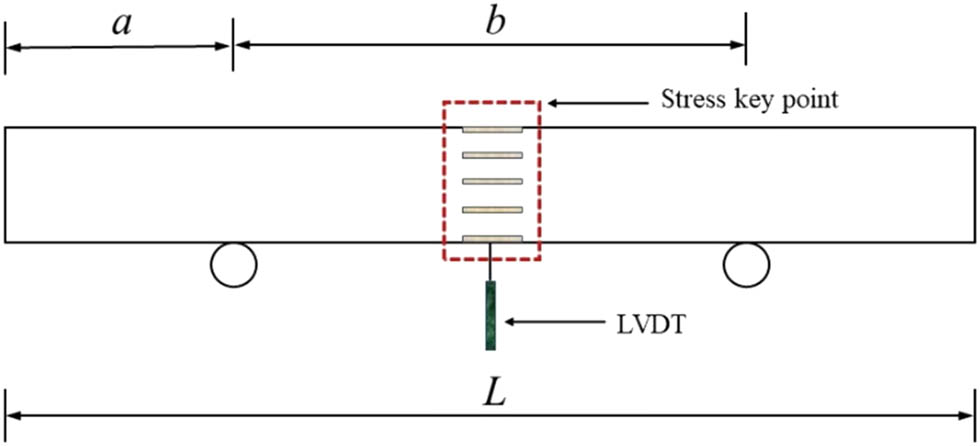 Figure 2 
                  Technical illustration of the bending test.
               
