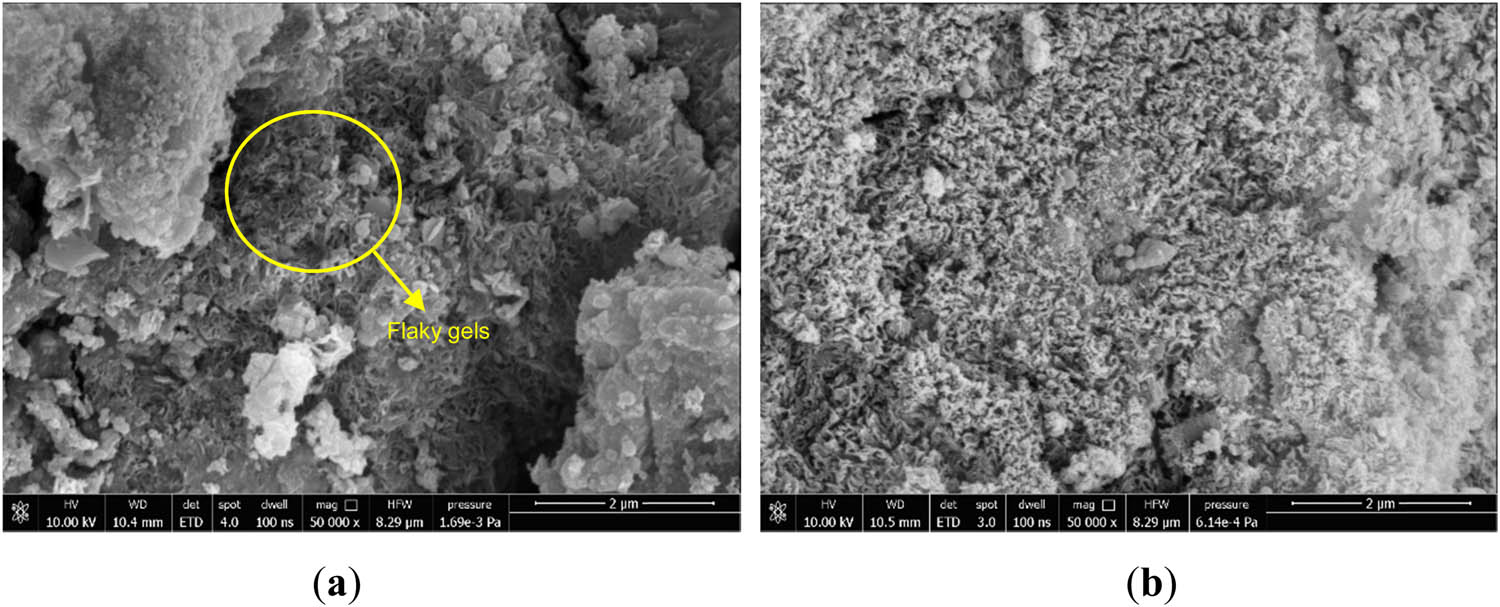 Figure 10
SEM morphology of F5 specimens at different maintenance ages: (a) 3 days and (b) 28 days.