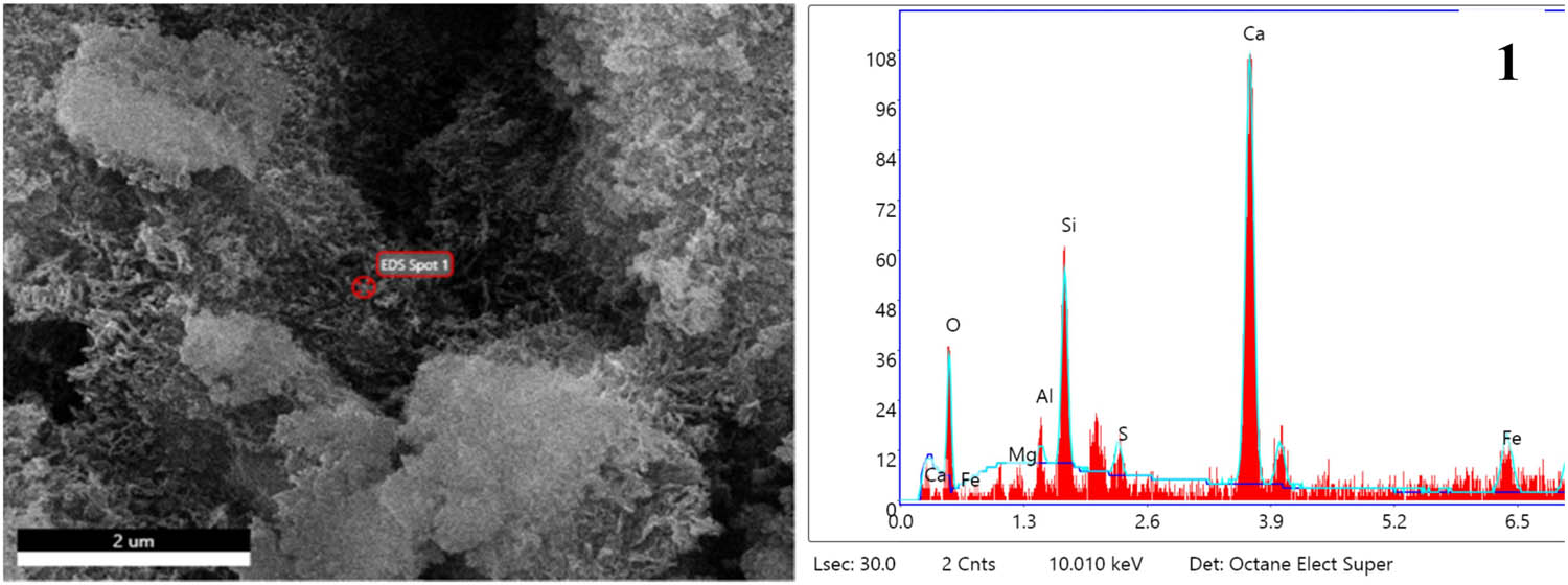 Figure 11
EDS image of spot 1 of F5 specimen at 3 days hydration age.