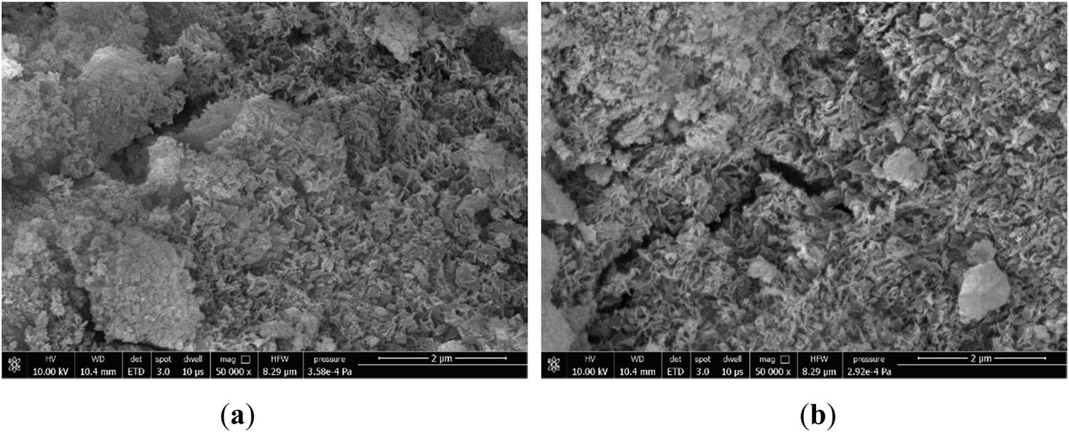 Figure 14
SEM microscopic morphology of Ti5 specimens at different maintenance ages: (a) 3 days and (b) 28 days.