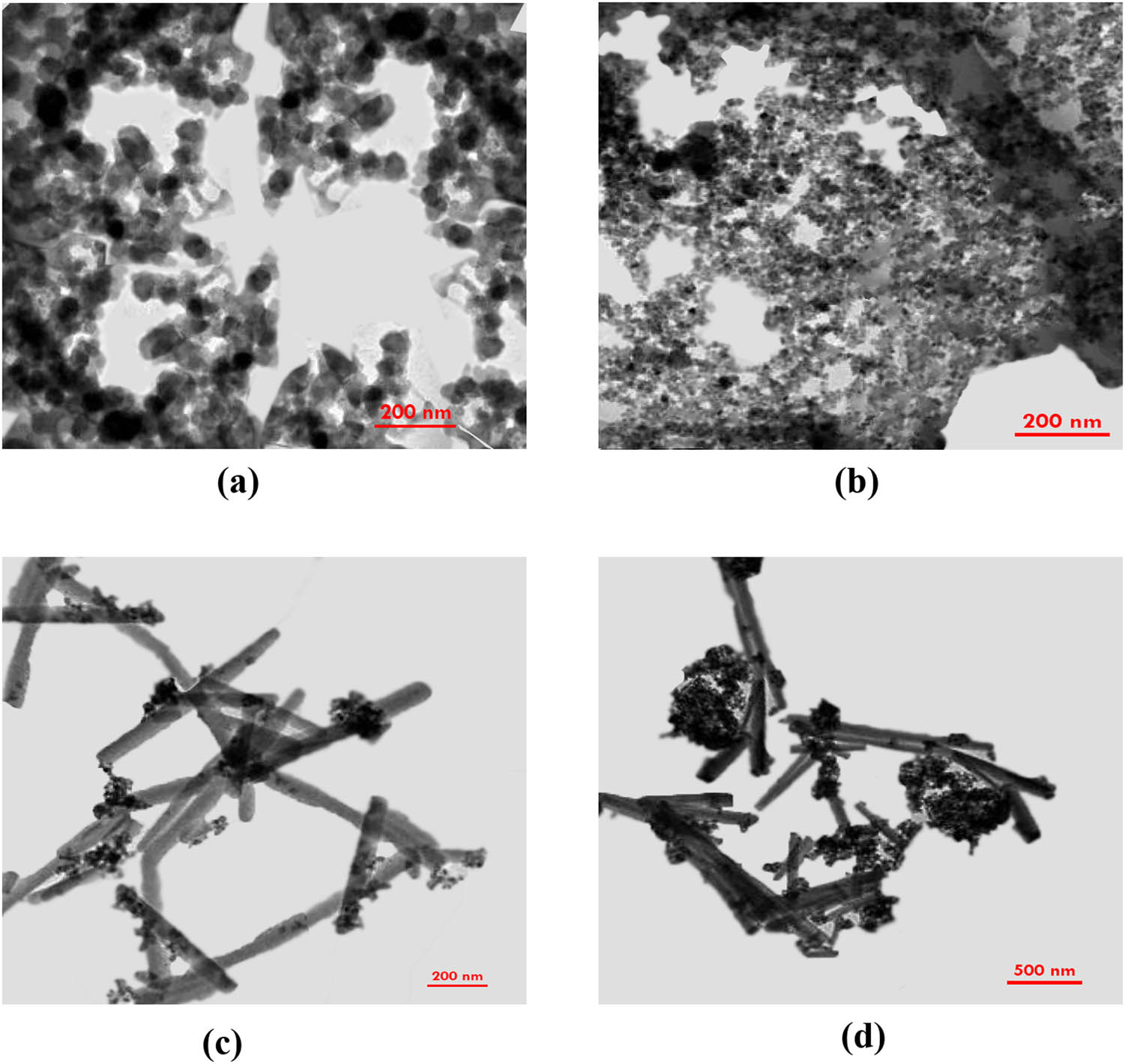 Figure 2 
                  TEM images of (a) NC, (b) MOF, (c) Fe3O4/NC, and (d) Fe3O4/NC/MOF.
               