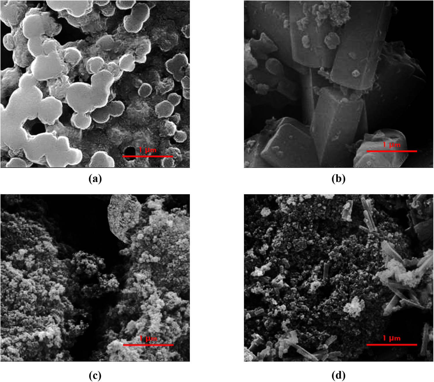 Figure 3 
                  SEM images of (a) NC, (b) MOF, (c) Fe3O4/NC, and (d) Fe3O4/NC/MOF.
               