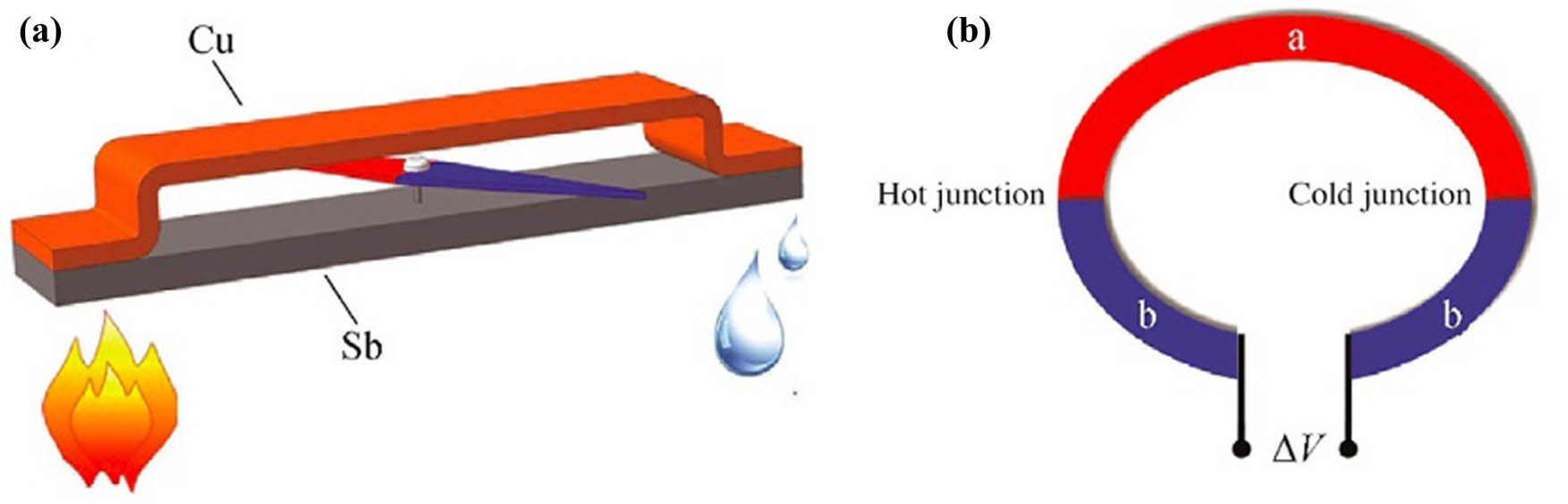Figure 1 
               (a) Experimental observation and (b) seebeck effect, reproduced with the permission of Chen et al. [5].
            