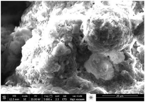 Figure 2
Microscopic view of MSWI ash.