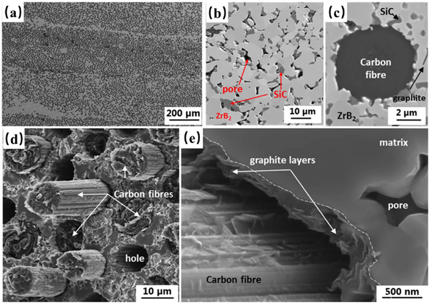 Figure 12 
                  SEM images of the specimens reinforced pitch-based carbon fibers: (a) cross section; (b) detail of the matrix, the light phases are ZrB2, grey phases are SiC, and dark areas are pores; (c) single fiber section; (d) fracture surface; and (e) detail of fiber/matrix interphase [128].
               