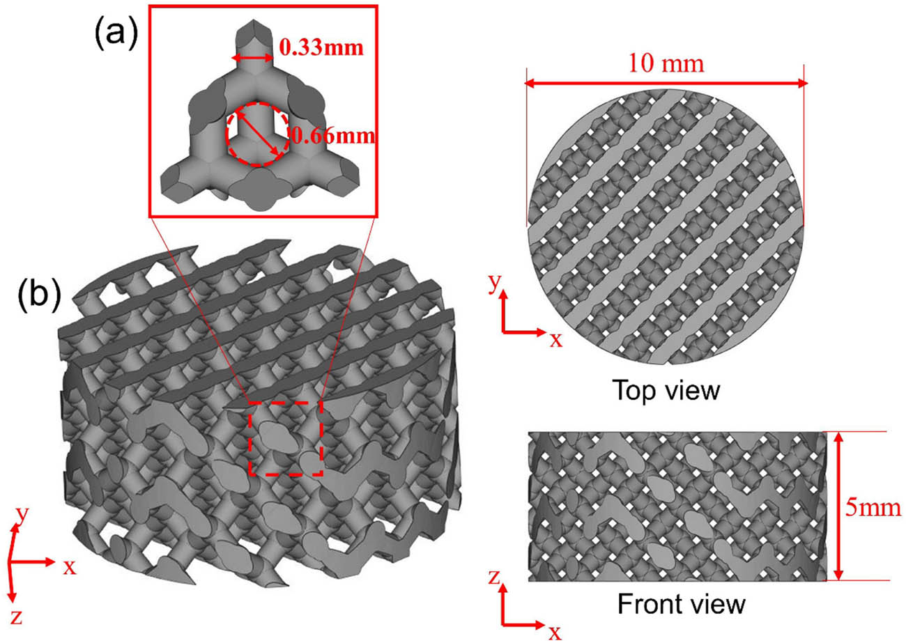 Figure 2
Modeling of scaffold: (a) porous diamond unit, which was used for construction of the main body of porous scaffolds and (b) 3D modeling of the bone tissue engineering scaffold.