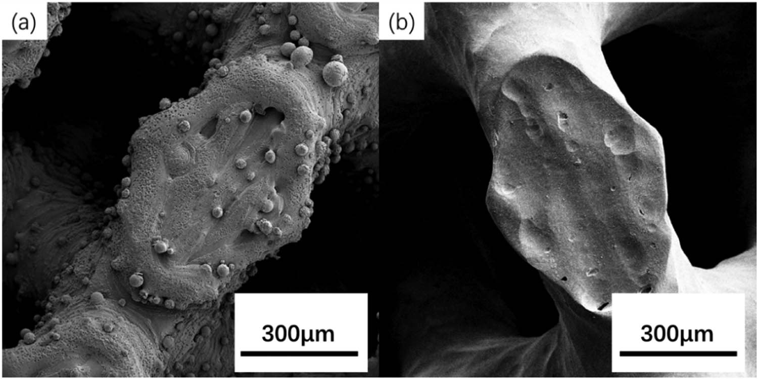 Figure 4
SEM images of scaffolds before and after pickling: (a) appearance of the surface microstructures of the 3D printed scaffold before acid pickling, (b) appearance of the surface microstructures of the 3D printed scaffold after acid pickling, which shows a smooth surface and no residual powder remained on the surface of the scaffold.