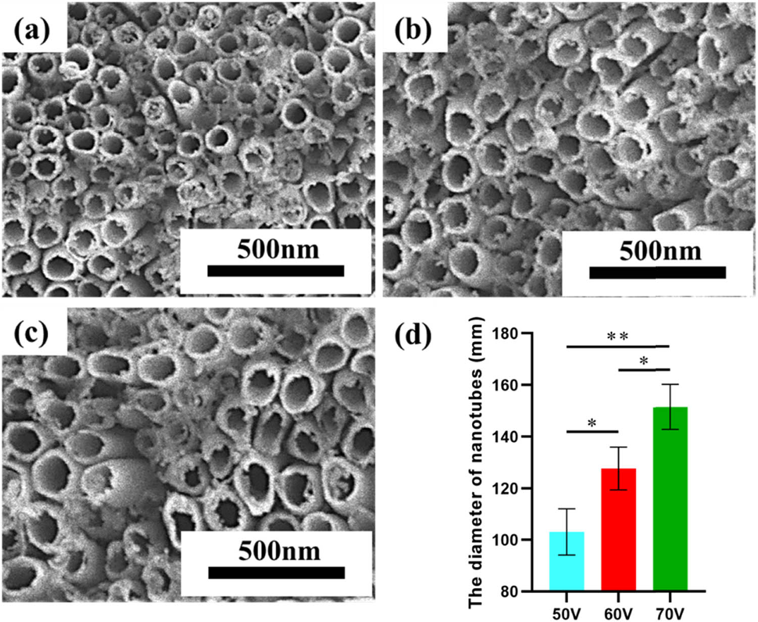 Figure 5
SEM images of nanotubes generated after 1 h of anodization at different voltage levels: (a) 50 V, (b) 60 V, and (c) 70 V. (d) Semi-quantitative results of the diameter of nanotubes. (Two-tailed t-test or one-way ANOVA with Tukey, *p < 0.05, **p < 0.01, and ***p < 0.001, error bars represent SD, n ≥ 3 independent experiments).