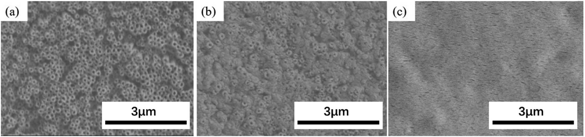 Figure 8
SEM images of the scaffold surface morphologies: (a) scaffolds are not loaded with drug, (b) scaffolds are loaded with MH, and (c) scaffold are loaded with MH and coated with PLGA.