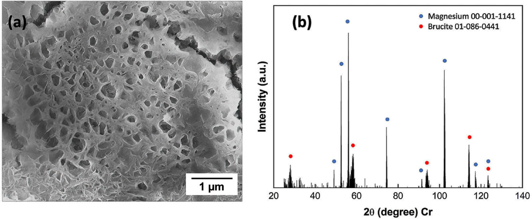 Figure 14 
                  (a) SEM images of micro pits and (b) XRD of the corrosion product, in FSW joints of Al 6022 and ZEK 100Mg alloy joints. Adopted with permission from ref. [156]. Copyright 2023 MDPI Corrosion and Materials Degradation.
               