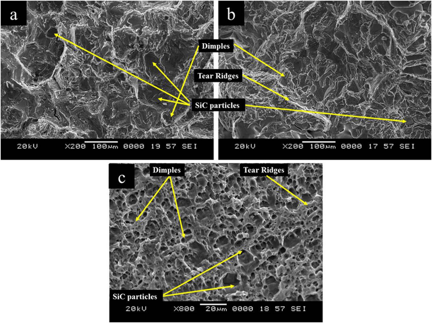 Figure 15 
                  SEM image of the fracture surfaces. (a) Base composite, (b) friction stir welded composite across the direction of weld, tool rotational speed of 1000 rpm and welding speed of 80 mm/min. (c) friction stir welded composite in the direction of weld tool rotational speed of 1000 rpm and welding speed of 80 mm/min., Adopted from ref. [163] with permission Copyright 2016 IOP Science. [Open Access Creative Commons CC BY NC 4.0 license].
               