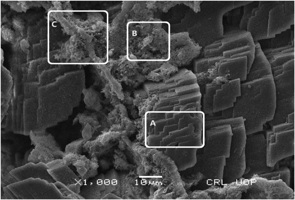 Figure 5
Scanning electron micrograph of the soapstone with three different micro-regions marked as A–C. Region A represents a crystalline morphology, which belongs to the talc, while regions B and C represent rough morphology containing a high concentration of iron.