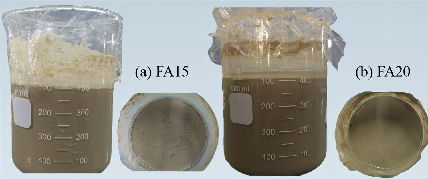 Figure 4 
                  Bleeding characteristics of modified high-water material: (a) FA15, (b) FA20.
               