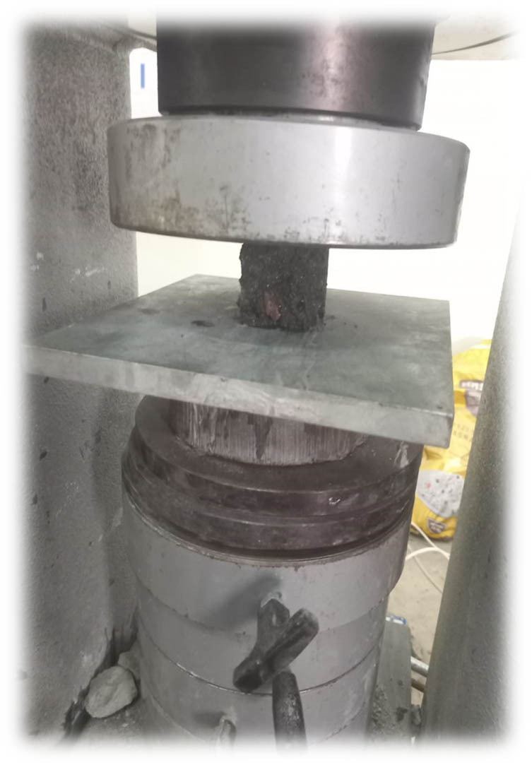 Figure 3 
                  CS testing.
               